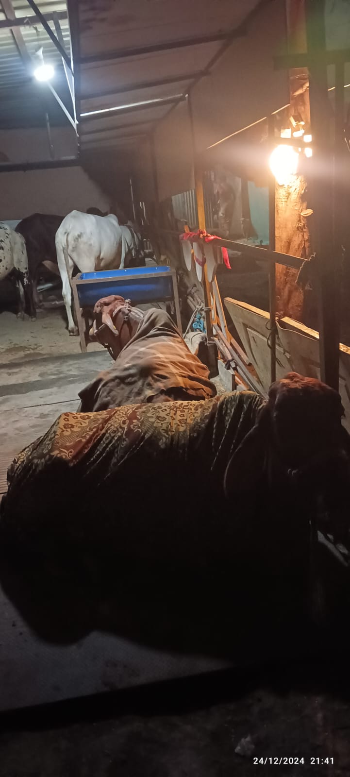 Gaushala